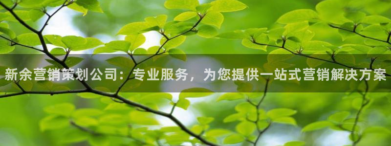 必赢集团网站首页