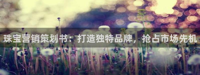 必赢平台网站多少