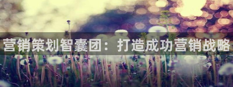 必赢亚赢网站官网下载安装