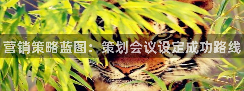必赢官网下载安装手机版：营销策