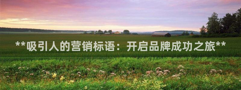 必赢官网网站入口：**吸引人的