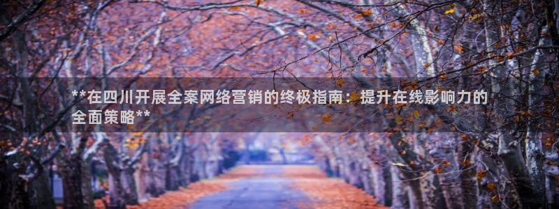 必赢公司是怎样的一家企业