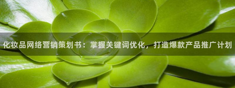 必赢国际437官网版：化妆品网