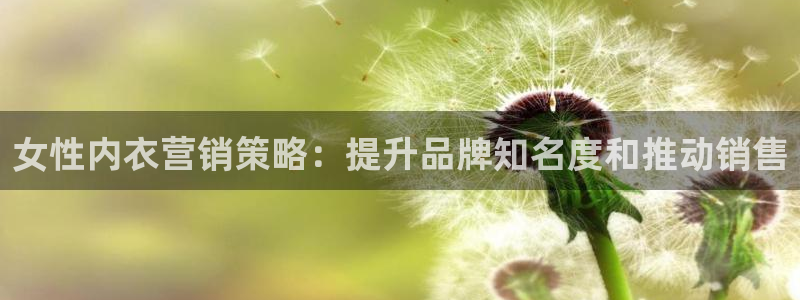 必赢手机app下载最新版安卓苹